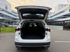 2021 Jetour X70 PLUS 1.5T MT 5, белый — фото 10