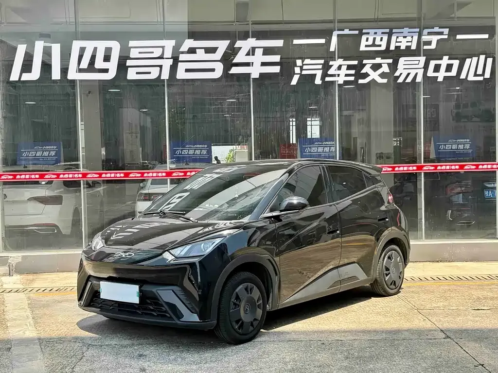 2025 BYD Seagull 305km Vitality