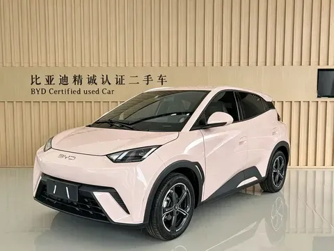 2023 BYD Seagull Flying