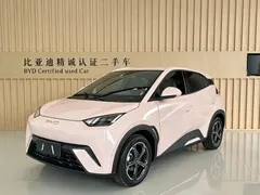 2023 BYD Seagull Flying — фото 1