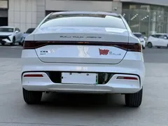 2024 BYD Qin PLUS 55KM, белый — фото 11