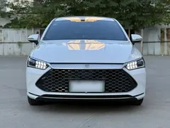 2024 BYD Qin PLUS 55KM, белый — фото 15