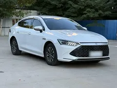 2024 BYD Qin PLUS 55KM, белый — фото 16