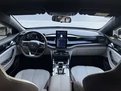 2024 BYD Qin PLUS 55KM, белый — фото 23