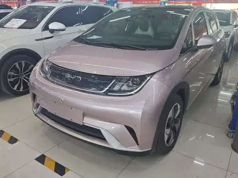 2024 BYD Dolphin Honor 420km Fashion