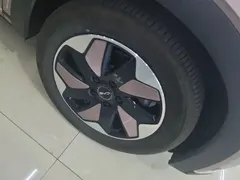 2024 BYD Dolphin Honor 420km Fashion — фото 6