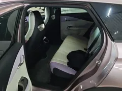 2024 BYD Dolphin Honor 420km Fashion — фото 11
