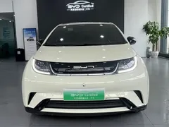 2023 BYD Dolphin 420km Freedom — фото 2