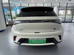 2023 BYD Dolphin 420km Freedom — фото 12