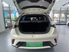 2023 BYD Dolphin 420km Freedom — фото 13