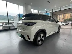 2023 BYD Dolphin 420km Freedom — фото 14