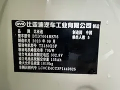 2023 BYD Dolphin 420km Freedom — фото 16
