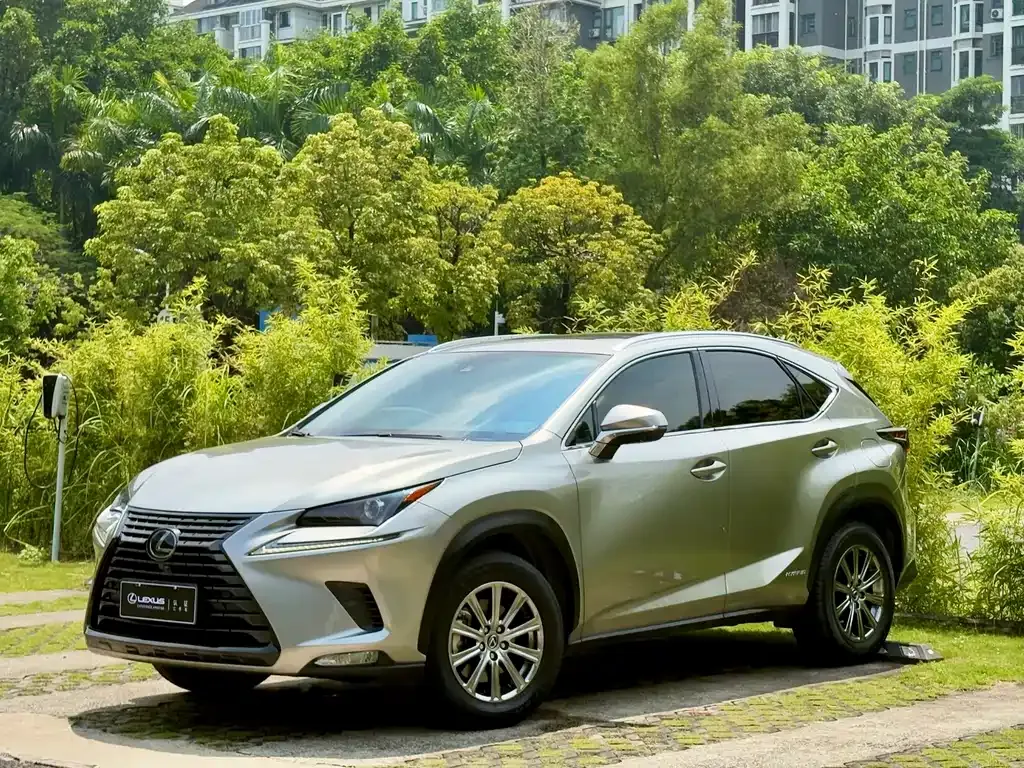2020 Lexus NX 300h Fashion VI