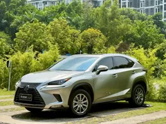 2020 Lexus NX 300h Fashion VI — фото 1