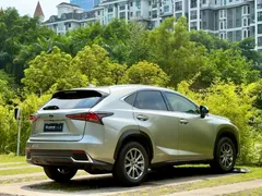 2020 Lexus NX 300h Fashion VI — фото 4