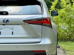2020 Lexus NX 300h Fashion VI — фото 5