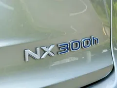 2020 Lexus NX 300h Fashion VI — фото 6