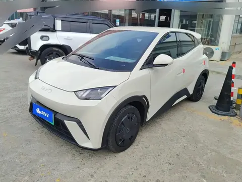 2024 BYD Seagull Honor 305km Vitality