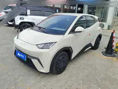 2024 BYD Seagull Honor 305km Vitality, белый — фото 1