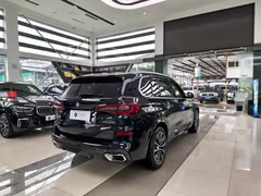 2022 BMW X5 30Li Premium M Sport Package, чёрный — фото 6