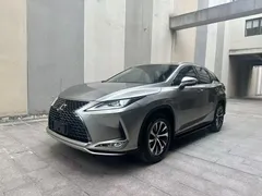 2020 Lexus RX 300 2WD Comfort — фото 1
