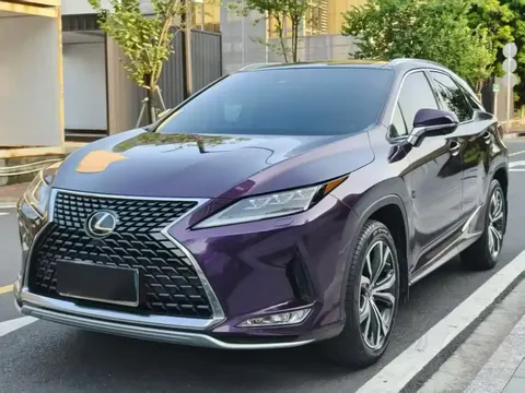 2020 Lexus RX 300 4WD VI