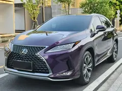 2020 Lexus RX 300 4WD VI — фото 1