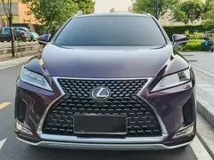 2020 Lexus RX 300 4WD VI — фото 2