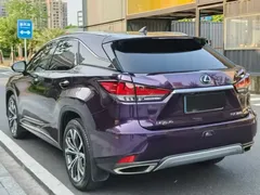 2020 Lexus RX 300 4WD VI — фото 7