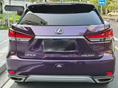 2020 Lexus RX 300 4WD VI — фото 8