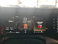 2023 Tank 300 Off-road 2.0T Conqueror — фото 12
