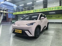 2025 BYD Seagull 305km Vitality — фото 1