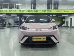 2025 BYD Seagull 305km Vitality — фото 2