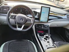 2024 BYD Qin PLUS 55KM — фото 12