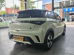 2023 BYD Dolphin 420km Fashion — фото 4
