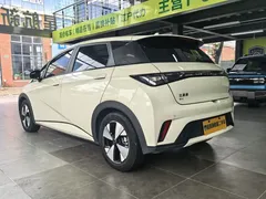 2023 BYD Dolphin 420km Fashion — фото 5