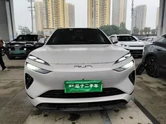 2025 BYD Sealion 06 DM-i 205 Pro — фото 3
