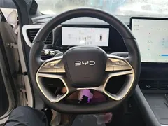 2025 BYD Sealion 06 DM-i 205 Pro — фото 7