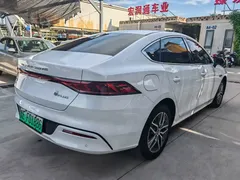 2023 BYD Qin PLUS Champion DM-i PHEV 55km Exceed, белый — фото 10
