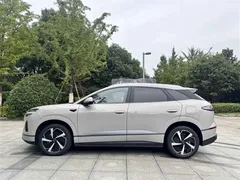 2025 BYD Sealion 06 DM-i 205 Pro — фото 10
