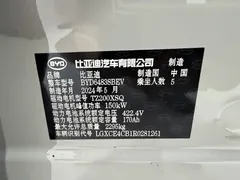 2024 BYD Song PLUS Honor Edition EV 520km Premium — фото 14