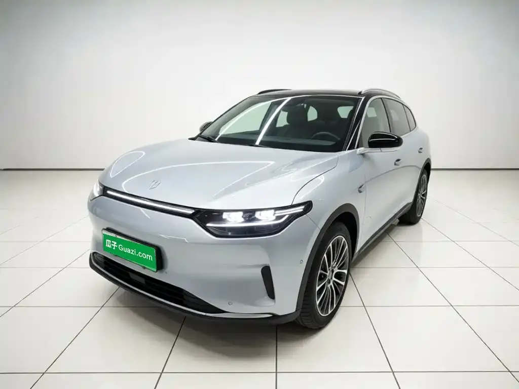 2023 Leapmotor C11 500