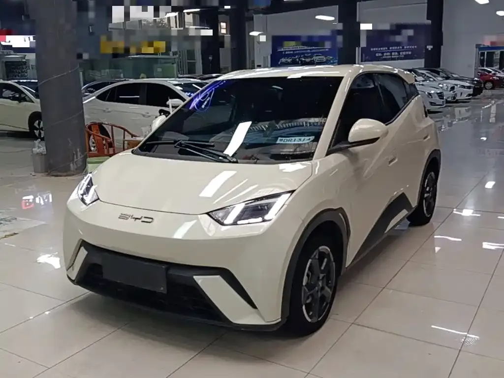 2023 BYD Seagull Freedom