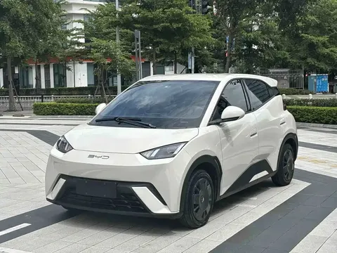 2023 BYD Seagull Vitality