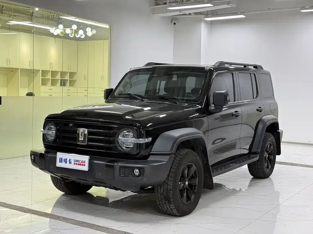 2021 Tank 300 2.0T