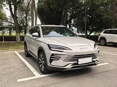 2024 BYD Song PLUS DM-i 150km PLUS 5G — фото 3