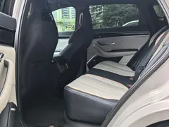 2024 BYD Song PLUS DM-i 150km PLUS 5G — фото 10