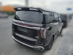 2024 Hongqi HQ9 2.0T 4WD — фото 10