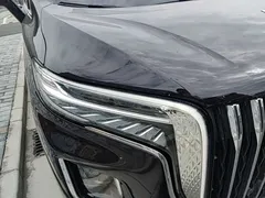2024 Hongqi HQ9 2.0T 4WD — фото 11