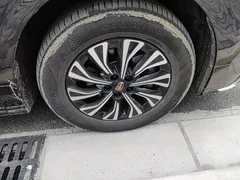 2024 Hongqi HQ9 2.0T 4WD — фото 12